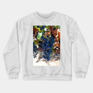 Vineyard Crewneck Sweatshirt